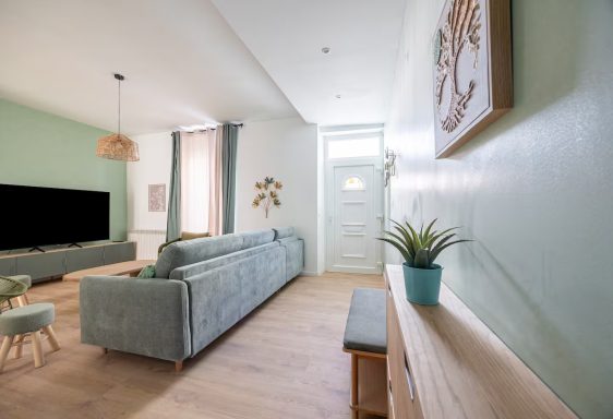 Salon moderne avec un canapé, une télé, une porte d'entrée et des plantes décoratives.